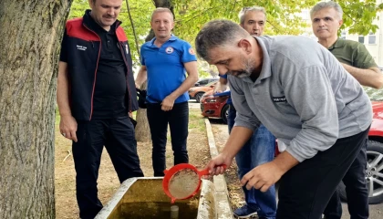 Bursa’nın su kaynaklarına 2,2 milyon sazan balığı bırakılacak