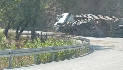 Düzce Yığılca yolunda TIR devrildi!