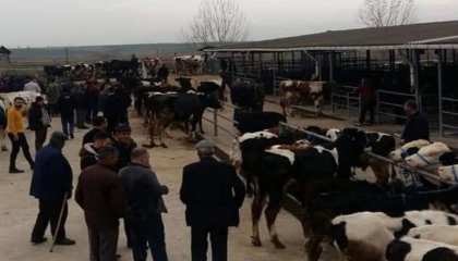 Edirne Keşan’da canlı hayvan pazarı kapatıldı