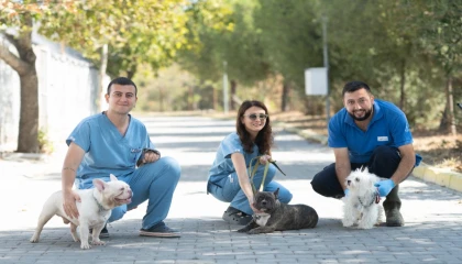 İzmir’de el konulan 20 cins köpek sahiplendirilecek