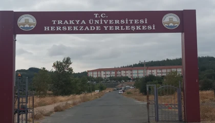 Keşan Belediyesi göreve davet edildi... Uzun otlar temizlenmeyi bekliyor