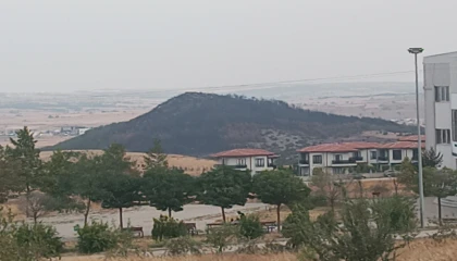Keşan Sivritepe’den yeniden yeşillendirme çağrısı