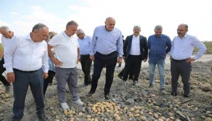 Konya Şeker’den yerli patates tohumu müjdesi... 2027’de dışa bağımlılık bitecek