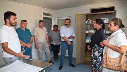 Manisa’da sokak hayvanları için yeni yaşam alanları oluşturuluyor