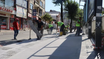 Ordu Büyükşehir’den Altınordu’ya estetik dokunuş