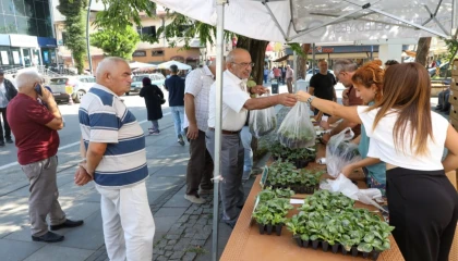 Ordu’da kışlık sebze atağı: 200 bin fide üreticiyle buluşuyor