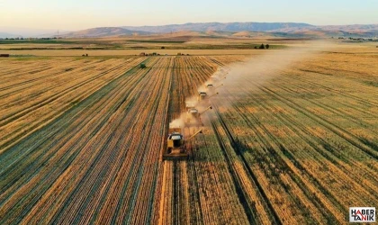 Osmaniyeli Üreticiler Destek Yağmuruna Hazır: Hesaplara Tam 4.5 Milyar Lira Yatıyor