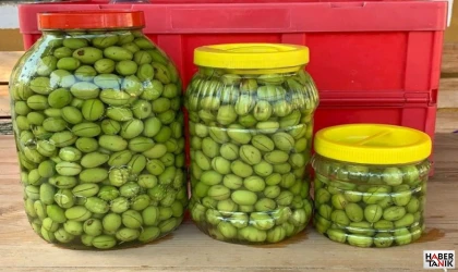 Osmaniyeli Üreticilerde "Kışlık Zeytin" Mesaisi: Sofralık Lezzetler İçin İlk Adım Atıldı