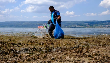 Sapanca çevresinden 2 ton çöp çıktı