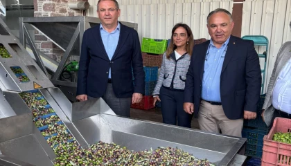 Ayvalık Ticaret Odası: Zeytinyağı ihracatında en büyük sorun markasızlık