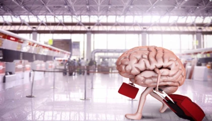 Beyin göçü durmadı! Her 50 üniversite mezunundan biri yurt dışında!