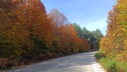 Bilecik Bozcaarmut’ta sonbahar büyüsü