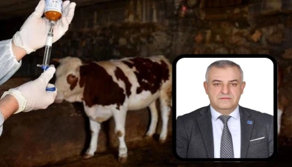 Bursa Mustafakemalpaşa’da şap alarmına A Parti açıklaması