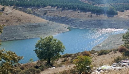 ESCEVDER: Madenler halkın suyunu yutuyor, su savaşları kapıda!
