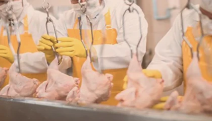 Filipinler’e kanatlı eti ve su ürünleri yolu açıldı