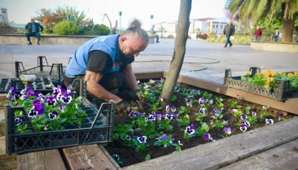 Giresun’a yeniden bahar geldi