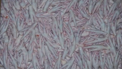 Kanatlı sektörü, Çin’e tavuk ayağı iznini bekliyor