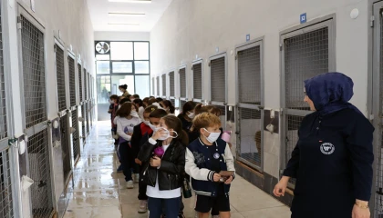 Sakarya’da can dostların yeni dünyasına hayran kaldılar