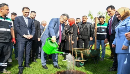 Trabzon’da 37 bin fidan toprakla buluştu