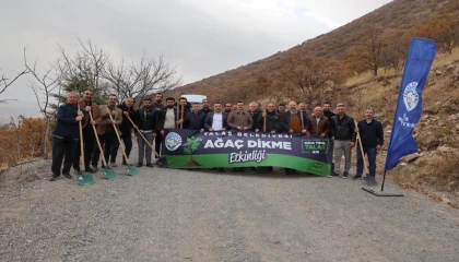 Ali Dağı’nın zirvesine bin 111 fidan