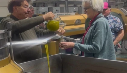 Alman çiftçiler Ayvalık zeytinyağına hayran kaldı