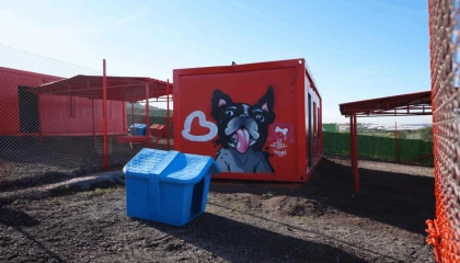 Balıkesir’de can dostlar için doğal yaşam alanı