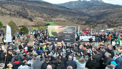 Bursa Gürsu’da yangın bölgesi yeniden hayat buluyor