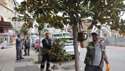Çayırova’da mevsimlik budamalar başladı