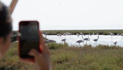 Doğa ve lezzet tutkunları bu turları çok sevecek