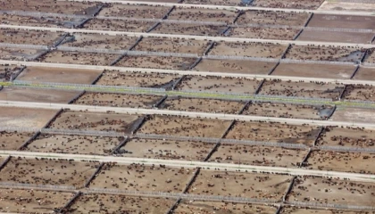 Endüstriyel hayvancılık küresel iklim hedeflerini tehdit ediyor