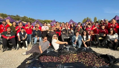 Engelli yurttaşlar zeytin hasadında buluştu