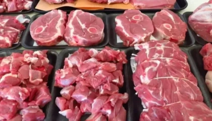 ESK: Fiyat dalgalanmalarına karşı tüm önlemler alındı