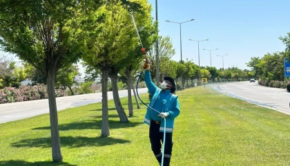 Gaziantep’te yoğun ilaçlama seferberliği