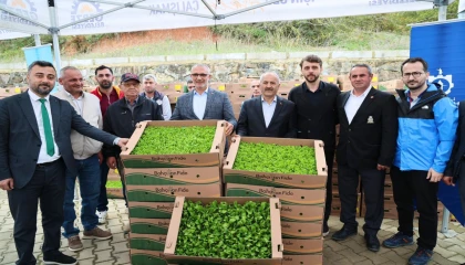 Gebze’de sebze fideler dağıtıldı