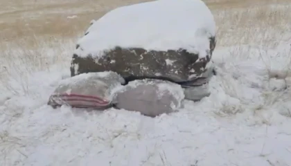 Hudut Kartallarından kaçakçılara darbe!