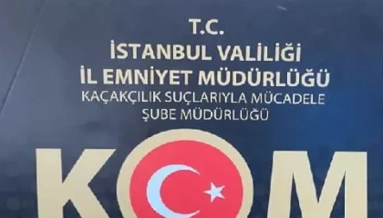 İstanbul’da tarihi eser kaçakçılığı operasyonu! 7 gözaltı