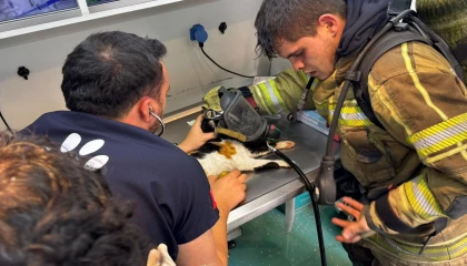 İzmir’de itfaiyeden can dostlara kahramanca müdahale