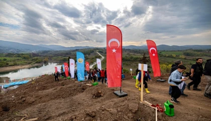 Karamürsel’de yanan bölge 3 bin fidanla yeşerecek