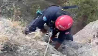 Kayseri Büyükşehir itfaiyesi mahsur kalan keçiyi kurtardı