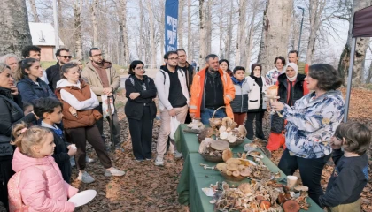 Kocaeli Kuzuyayla’da mantarların gizemli dünyası keşfedildi