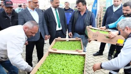 Kocaeli’de Gebzeli çiftçilere 500 bin fide dağıtıldı