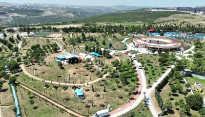 Kocaeli’nin dört bir yanı yeşile bürünüyor