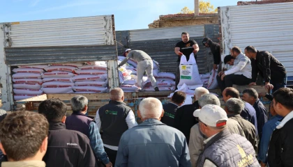 Konya’da çiftçiye mercimek tohumu desteği