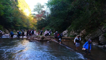 Kuzeyin tabiat harikasında unutulmaz sonbahar yürüyüşü
