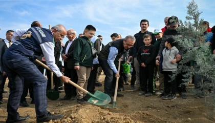 Malatya’da 2 bin 200 fidan toprakla buluştu