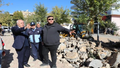 Mardin Yeşilli’de büyük dönüşüm... 50 bin ağaçlık yeşil hamle