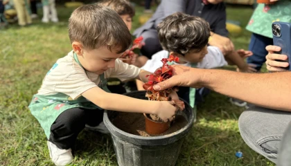 Minik eller Sakarya’da umut ekti
