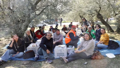 Mudanya’da birlikte zeytin topladılar