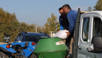 Muğla Büyükşehir’den kaba yem üretimi