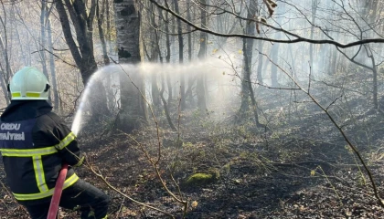 Ordu’da bir haftada 40 yangın alarmı